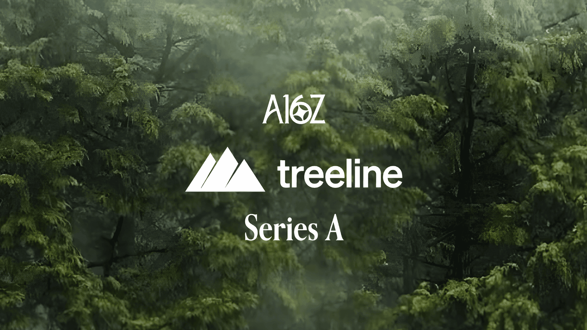 Treeline, Yapay Zeka ile BT Otomasyonunda 25 Milyon Dolar Yatırım Aldı