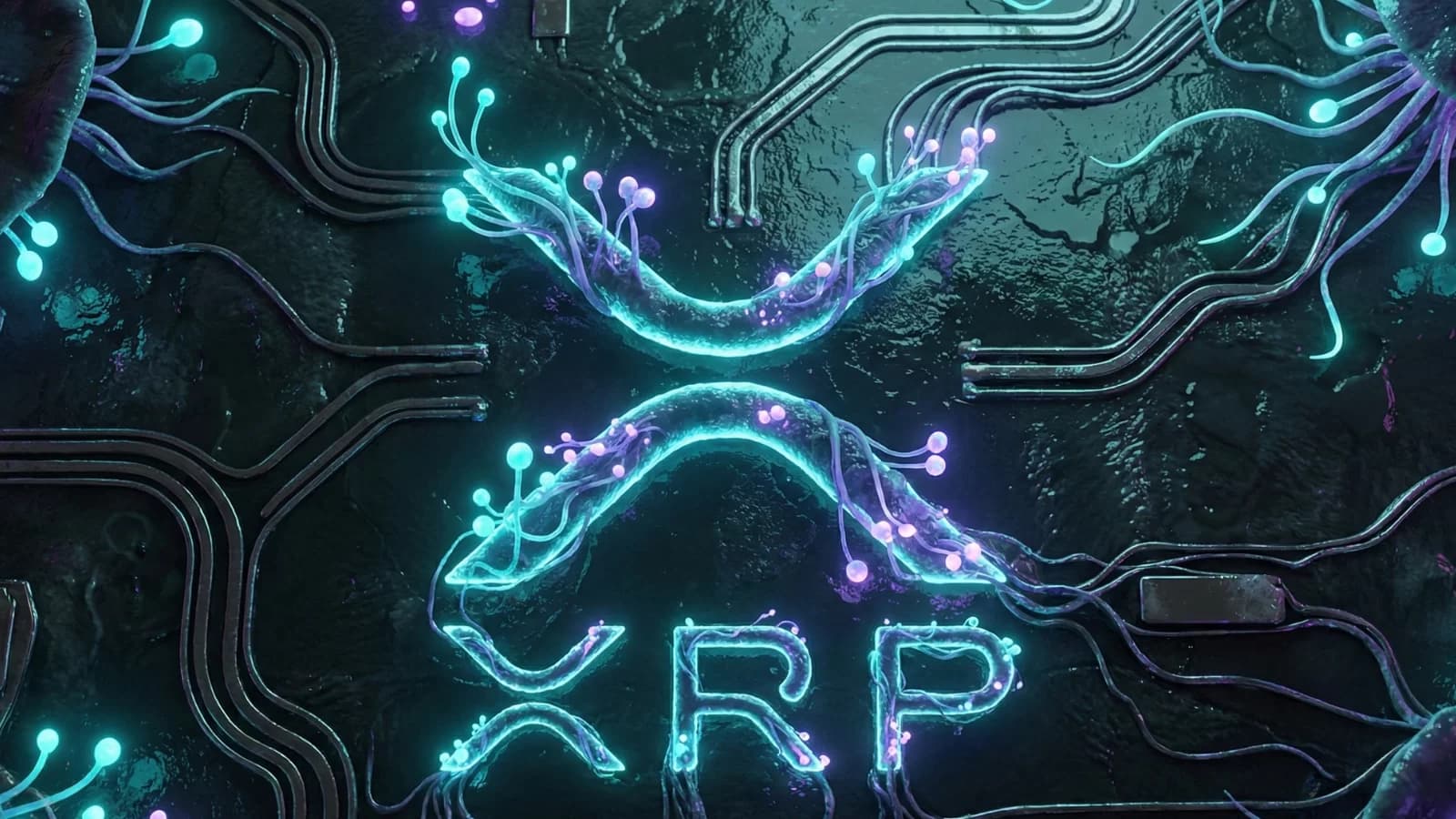 XRP ETF’lerine 17 milyon dolarlık giriş, fiyat 1,42 dolarda dirençte