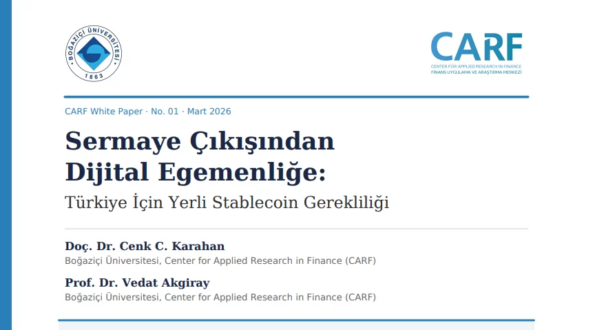 Türkiye, Stabilcoin Kullanımında Lider: Yerli Modelin Önemi