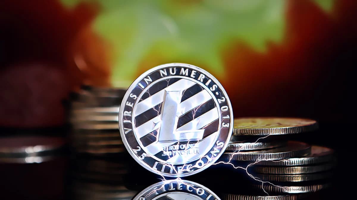 Litecoin’de 46 ila 50 dolar direnci yeniden kritik hale geldi