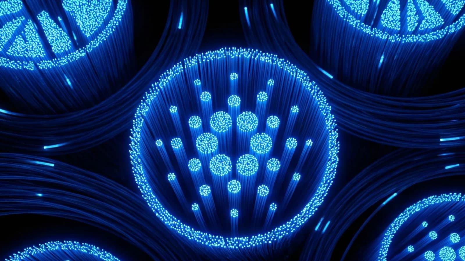 Tim Draper, Cardano girişimleri için yeni hızlandırma programını destekledi