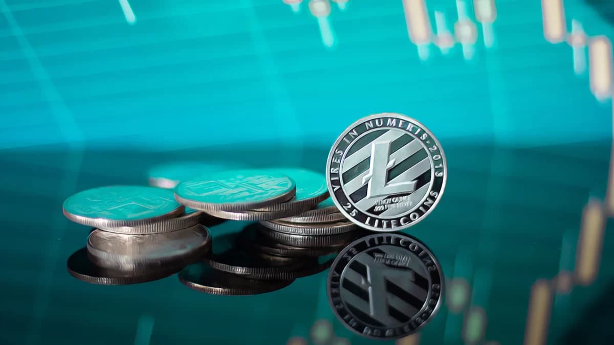Litecoin’de 48 dolar direnci öne çıkarken ağ kullanımı arttı